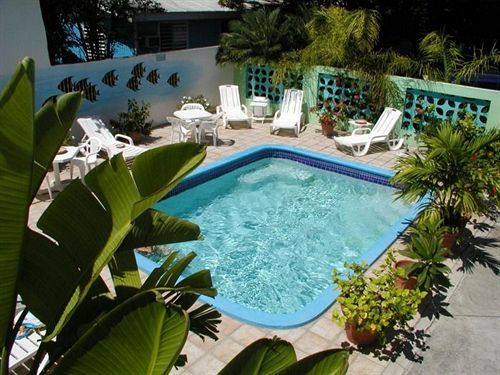 Turquoise Shell Inn เกาะเซนต์มาร์ติน ภายนอก รูปภาพ