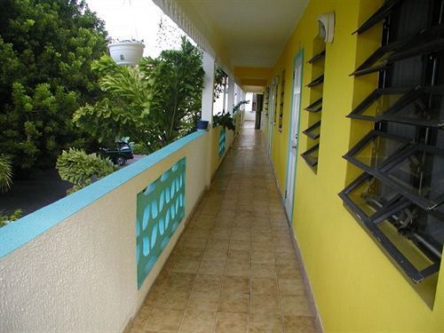 Turquoise Shell Inn เกาะเซนต์มาร์ติน ภายนอก รูปภาพ